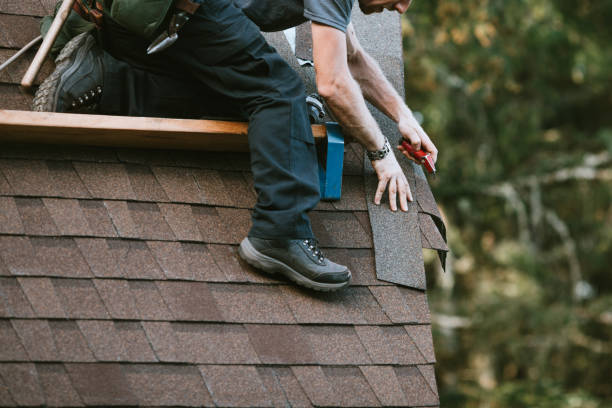 Best Roof Gutter Cleaning  in Highgrove, CA
